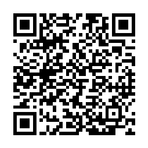 你们真以为我三十六洞天福地仅仅只是三十六位峰主吗二维码生成