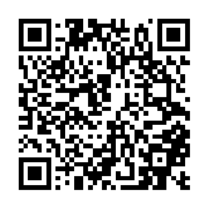 你们真的不是来竞拍和仙儿姑娘一块吃饭的机会吗二维码生成