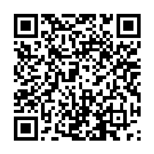 你们紧张个什么劲……你们还不知道我的恢复体质二维码生成