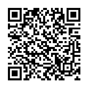 你们要是想去玩也可以去拉斯韦加斯跟他们一起玩啊二维码生成