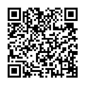 你们要是把野兽引来就把你们扔出去填野兽的肚子二维码生成