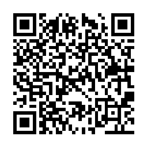 你们觉得这件事的意义在于谁灭了白塔谁杀了他么二维码生成