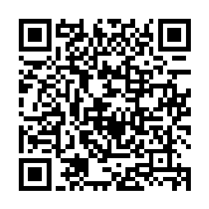 你们说咱们能不能将这红尘天外天一战打回远古时代去二维码生成