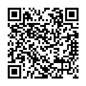 你们课外狩猎的时间将要延长到五个月或者六个月……二维码生成