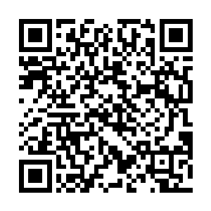 你们负责将这一次咱们战斗的死伤人员全部都登记下来二维码生成