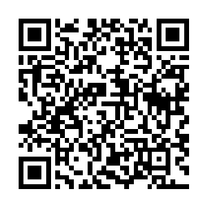 你们赶紧把那些要应劫而怀劫不遇的族群长老弟子招上来二维码生成