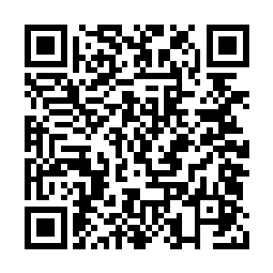 你们还可以继续让一个幻影三变的骑士出战……二维码生成