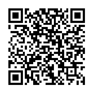 你们还和咋天一样帮着拉拉鱼浮或者是收子线鱼钩二维码生成