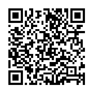 你们这些……早在亿万年前就应该灰飞烟灭的元始族二维码生成