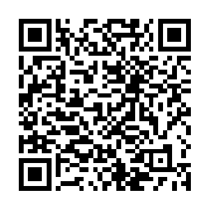 你们这些天上的骄子当初都在国子监学了些什么东西啊二维码生成