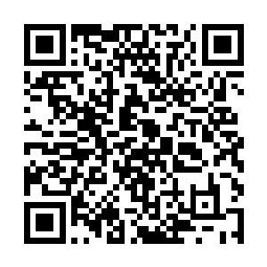 你们这些天之骄子又如何理解我们这些普通人的困境二维码生成
