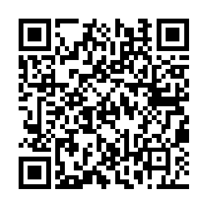 你们这些王八蛋虽然没有打着旗号明目张胆的出来二维码生成