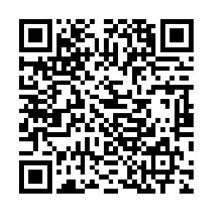 你们这帮老家伙不老老实实的待在深山里面出来得瑟什么二维码生成