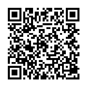 你们这样的资深者为什么会听命于这种菜鸟团长二维码生成