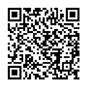 你们这种修为的修士还无法施展法宝远距离攻击二维码生成