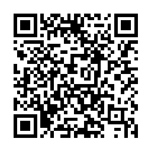 你们连他是不是天元星天街大统领的身份都没有核实二维码生成