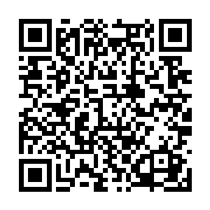 你们那个仙桃村的代理村长雷欢喜提出了解决方案二维码生成