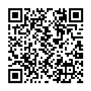 你们雪妖族可没有规定仙班境的武者就不能尝试吧二维码生成