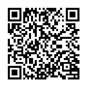 你们需要多少多少军火可以直接找他商量……当然了二维码生成