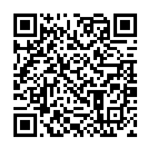 你们龙虎山的地下灵脉就会有一次大规模的能量爆发二维码生成