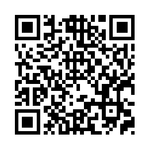 你会为你的愚蠢决定付出惨重的代价二维码生成