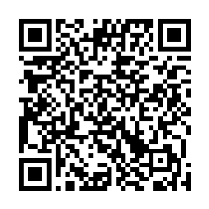 你会发现这个世界上其实还有很多比养兰更加有趣的事情二维码生成