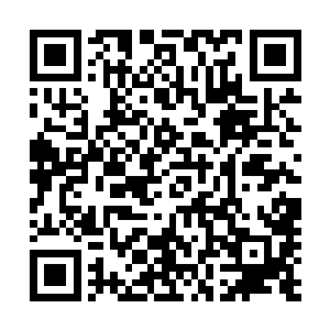 你会把我和她一起丢掉――就像是你们之前对待我妹妹那样二维码生成