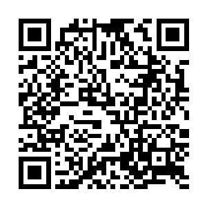 你会看到一层灰蒙蒙的气体笼罩了这个曾经美丽无比的世界二维码生成
