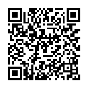你体内的经脉和暗伤需要用丹药来温养一段时间二维码生成