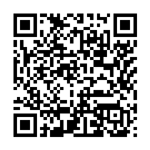 你体内还凝结着大量异兽内丹释放出来的狂乱灵能二维码生成