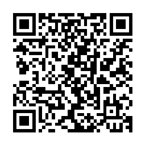 你信不信要不是特意介绍你姑奶奶一两天都发现不了家里多个人二维码生成