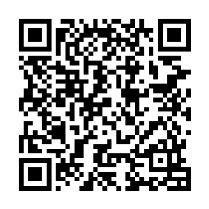 你俩可能确定你们有了后代之时……子嗣是什么形态……二维码生成
