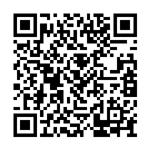 你俩这是又好奇又兴奋又期盼的想谈一场恋爱了二维码生成