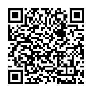 你倒是比京城以往那些眼高于顶的老家伙都来得爽利二维码生成