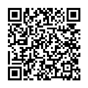 你偷渡到仙界恐怕地仙初期还要一段时间才成呢二维码生成