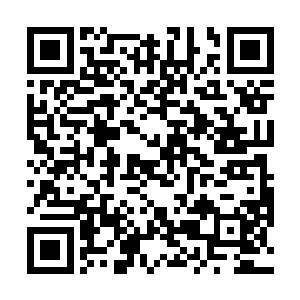 你儿子和这个叶倩倩在我的小兄弟周狼面前都那般嚣张二维码生成