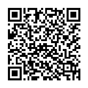 你先前不是问我这座秘密基地研究的到底是什么东西吗二维码生成