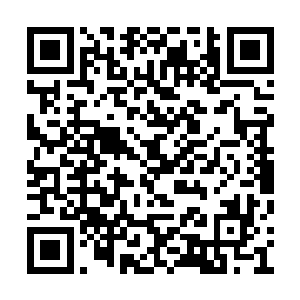 你先详细给我说说陶家联盟总共有多少圣皇强者二维码生成