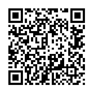 你几乎很难在那些商业晚宴中看到主演人员的身影二维码生成