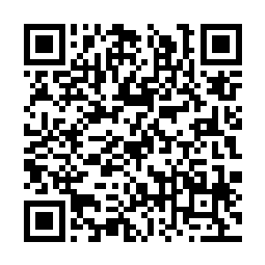 你凭什么能保证以后能达到圣帝这至高无上的境界二维码生成