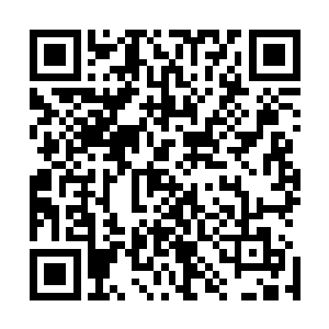 你分明说大少爷的未婚妻将来到苏国公府也是人生地不熟的二维码生成