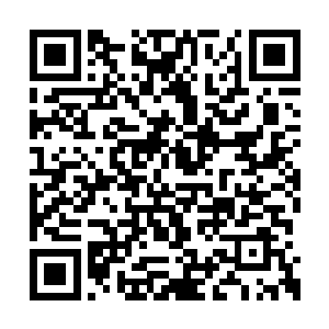 你刚刚去的时候没有看到王林和刘洋在做什么吗二维码生成