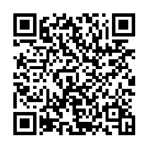 你刚才不是说要向祖神献祭自己的生命力来换取我的命的吗二维码生成