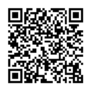 你刚才不是问那天我徐虹赵莺跟郑卫华在爱琴海干什么二维码生成
