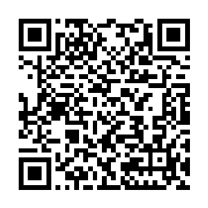 你刚才回去是不是把那些…嗯…嗯的视频都删掉了二维码生成