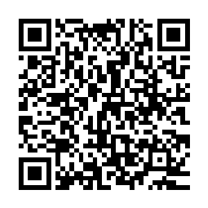 你刚才提到的狄师兄莫非就是最近在羿界域崛起的域主狄云起吗二维码生成