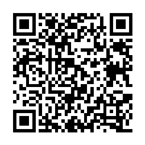 你刚才是要拿着主席的威严来压迫我这个小民吗二维码生成