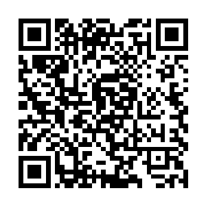 你刚才的行为已经证明了你就是一个说话不算数的人二维码生成