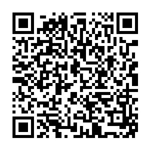 你刚才说了只有四大中心的负责人死了才会提升计划的警戒等级对吧二维码生成
