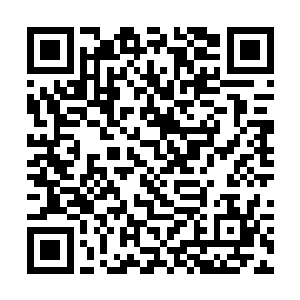 你刚才说到pcr仪会在人体基因组计划中发挥重要作用二维码生成